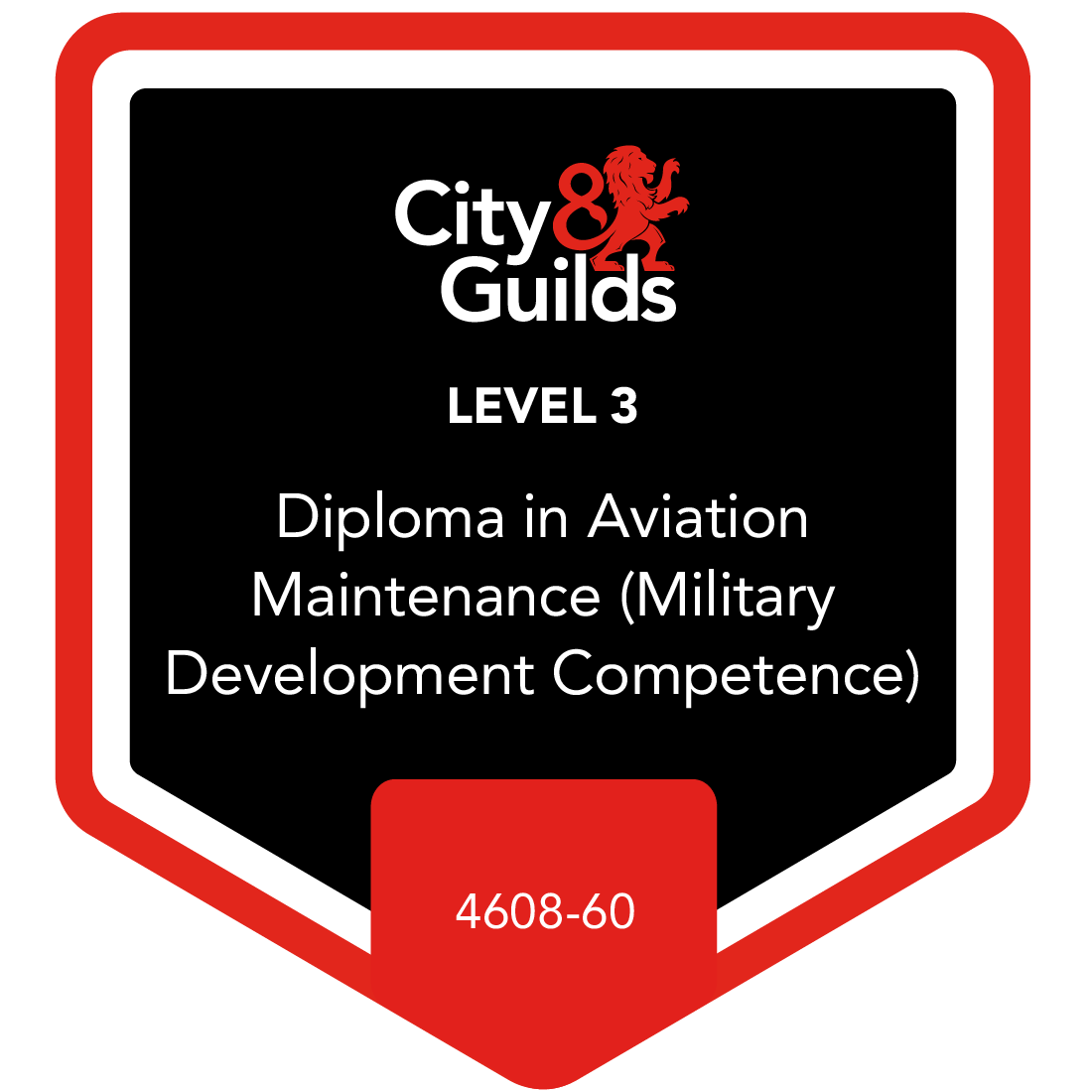 Level 3 Diploma in Aviation Maintenance (Military Development Competence) 460860 Credly
