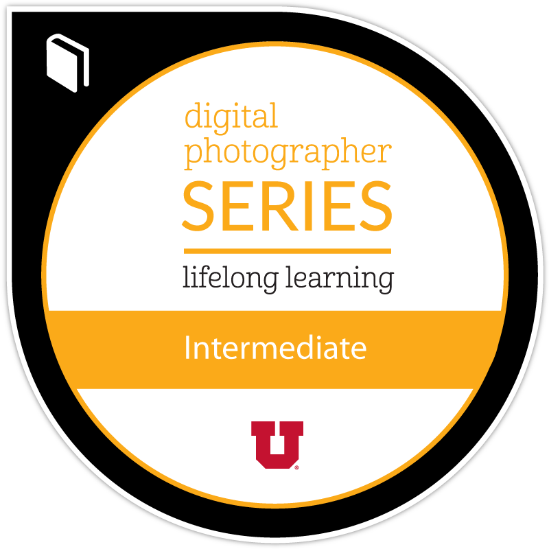 Digital Photographer: Intermediate