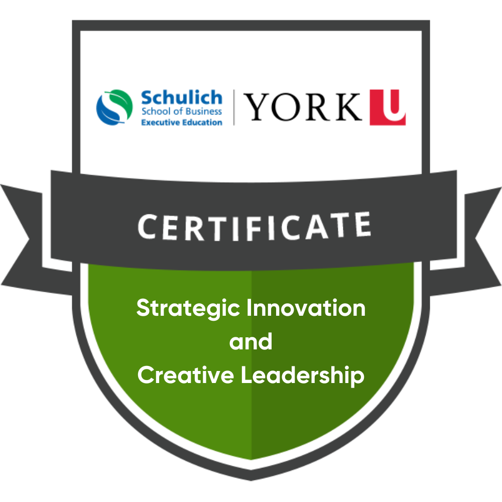 Strategic Innovation and Creative Leadership