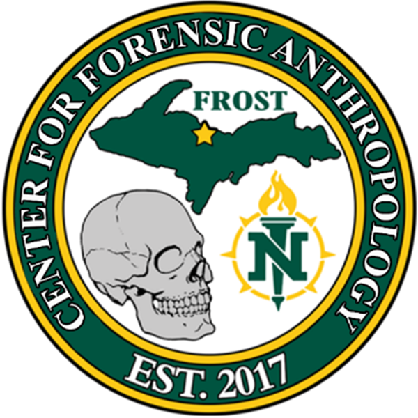 Bloodstain Pattern Recognition and Blood Processing for Forensic Scenes