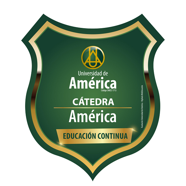 Cátedra América