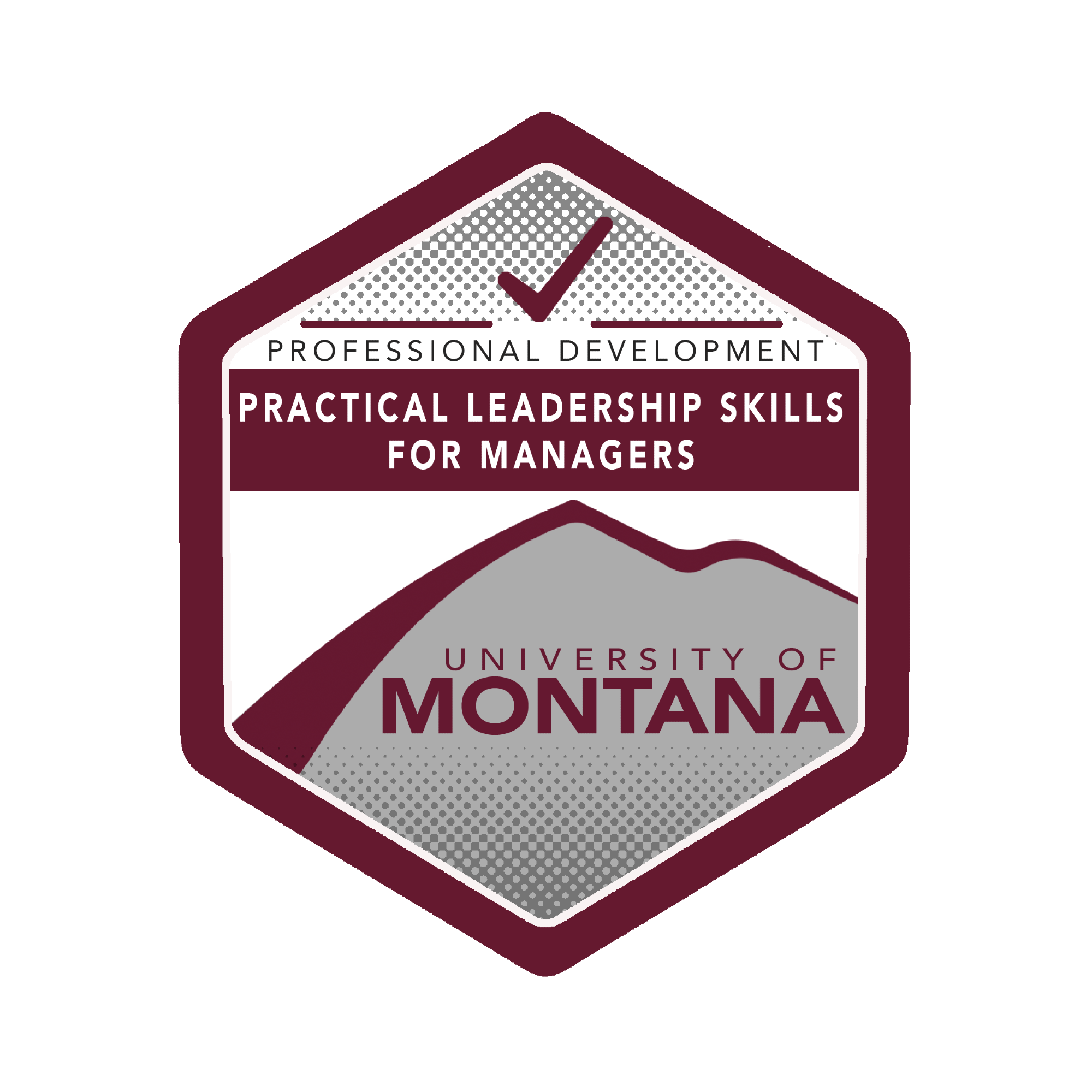 Practical Leadership Skills for Managers