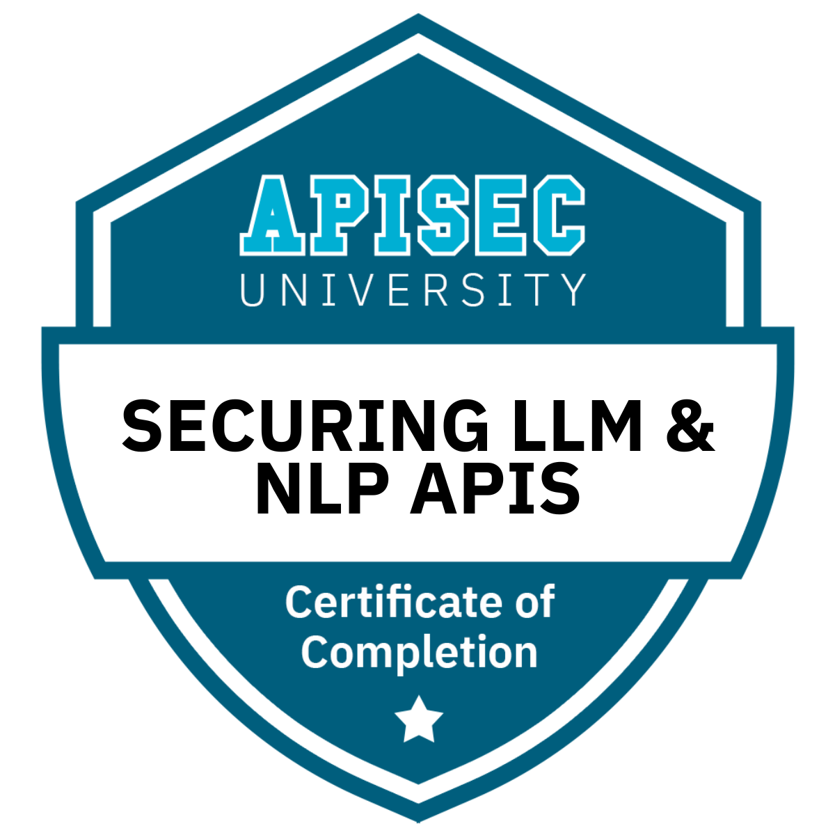 Securing LLM and NLP APIs (1 hour)