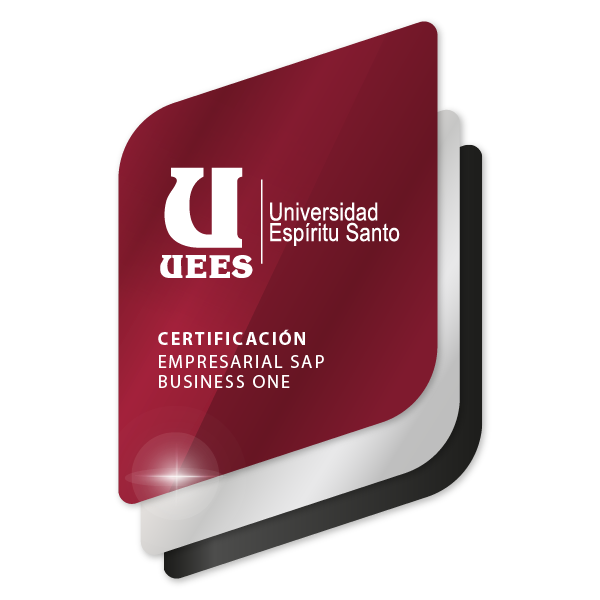 Certificación Empresarial SAP Business One