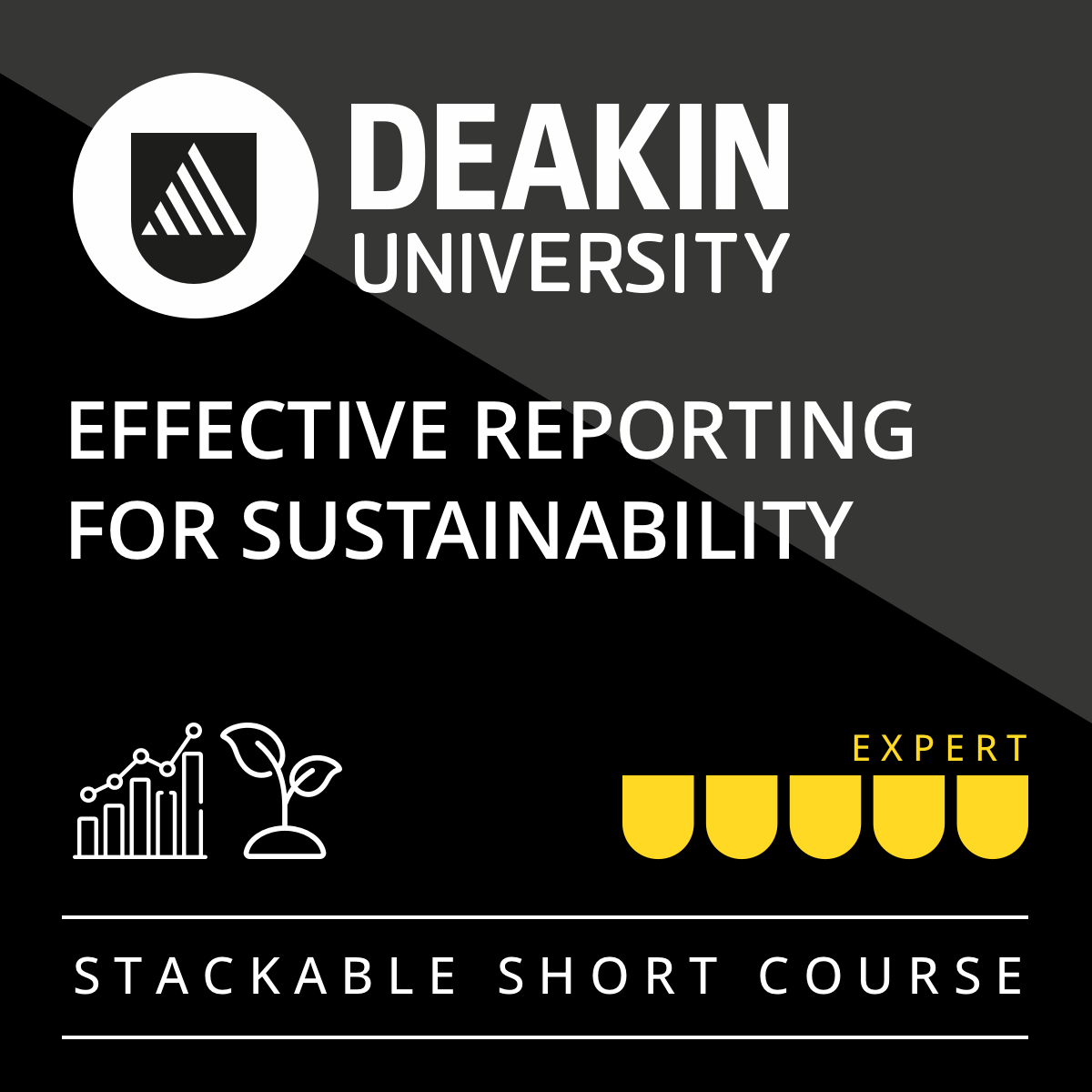 Effective Reporting for Sustainability