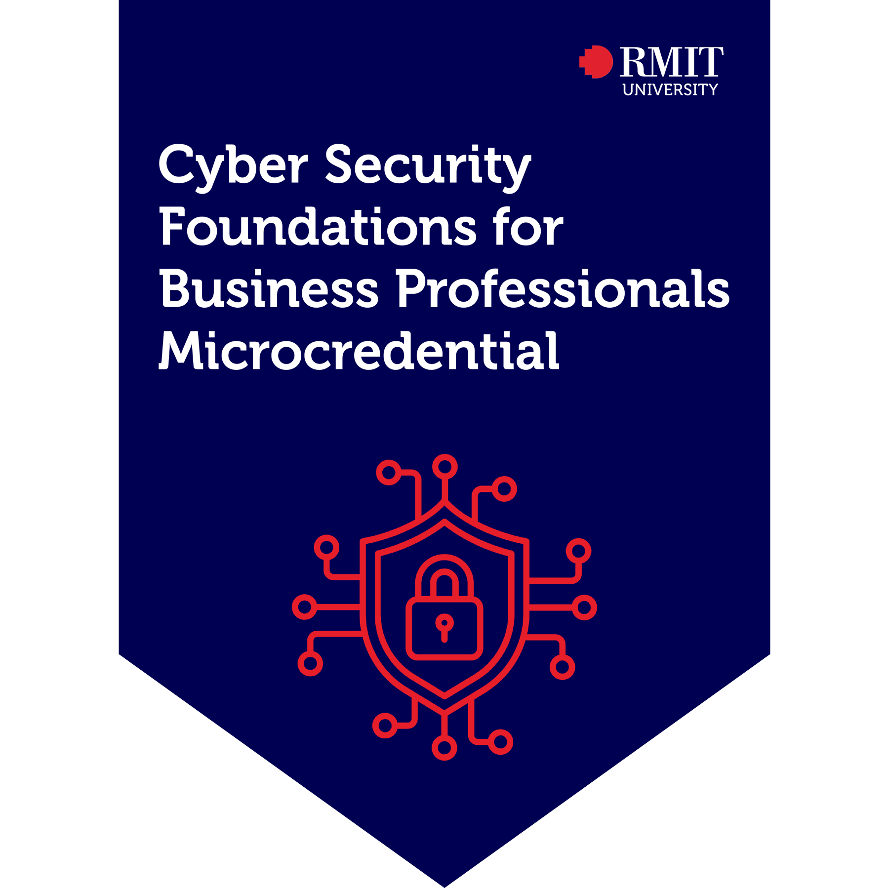 Cyber Security Foundations for Business Professionals Microcredential