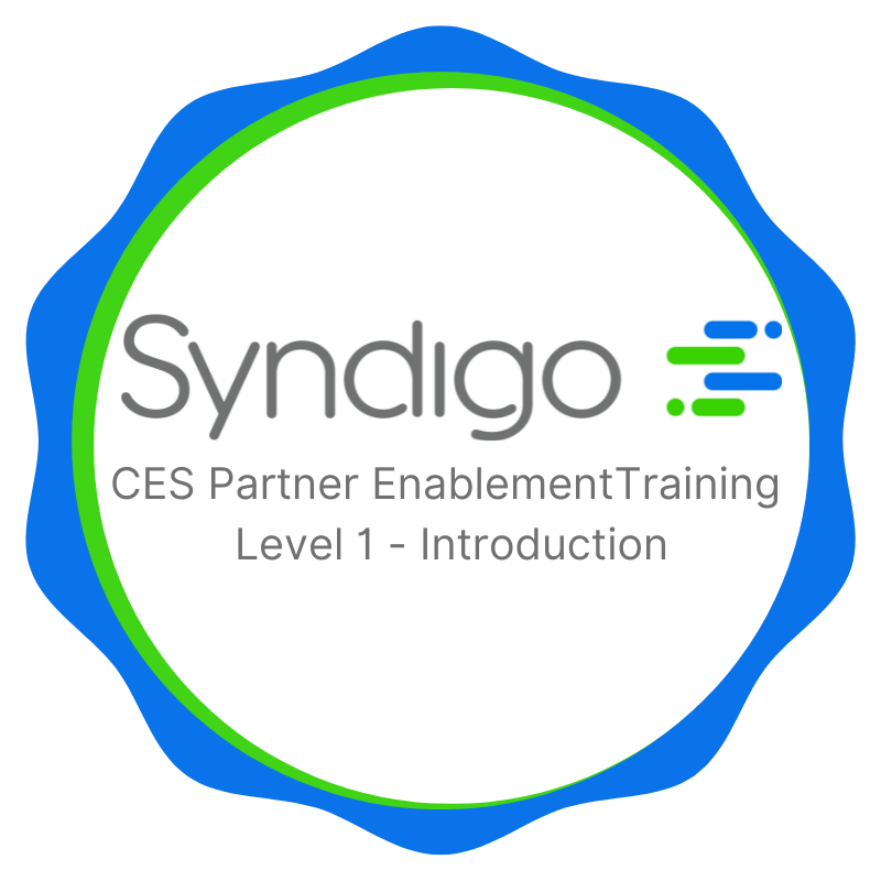 Syndigo CES Partner Enablement Training - Level 1