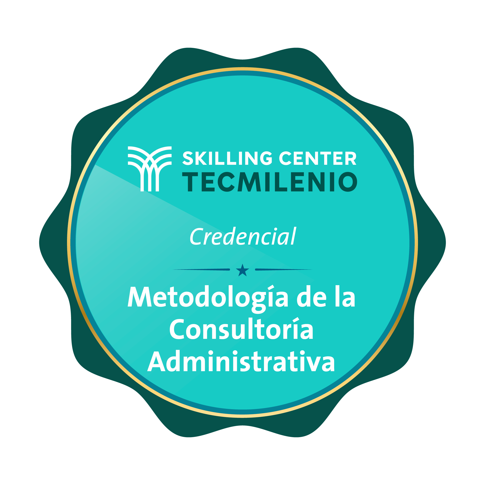 Credencial Metodología de la consultoría administrativa