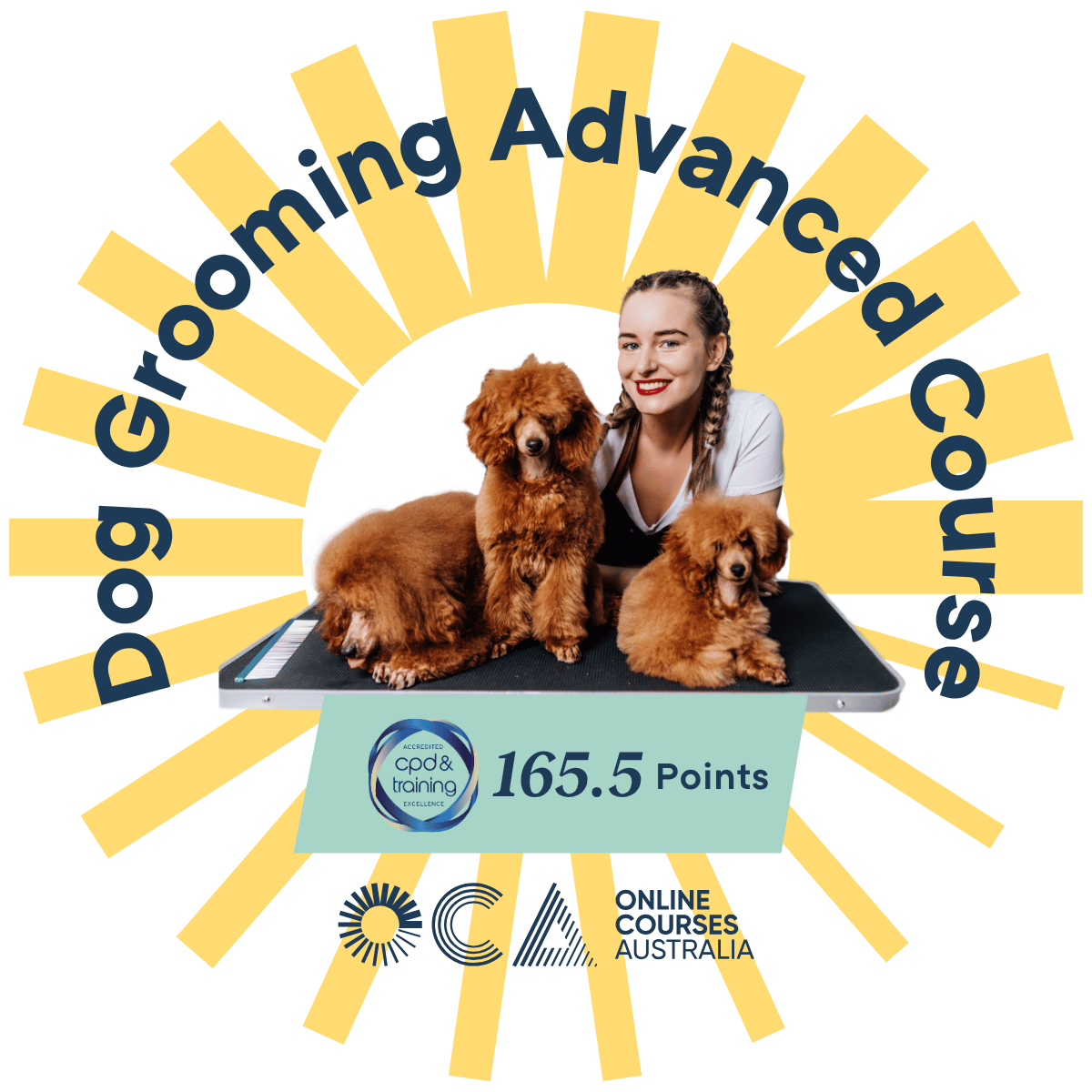 Dog Grooming Advanced Course - Credly