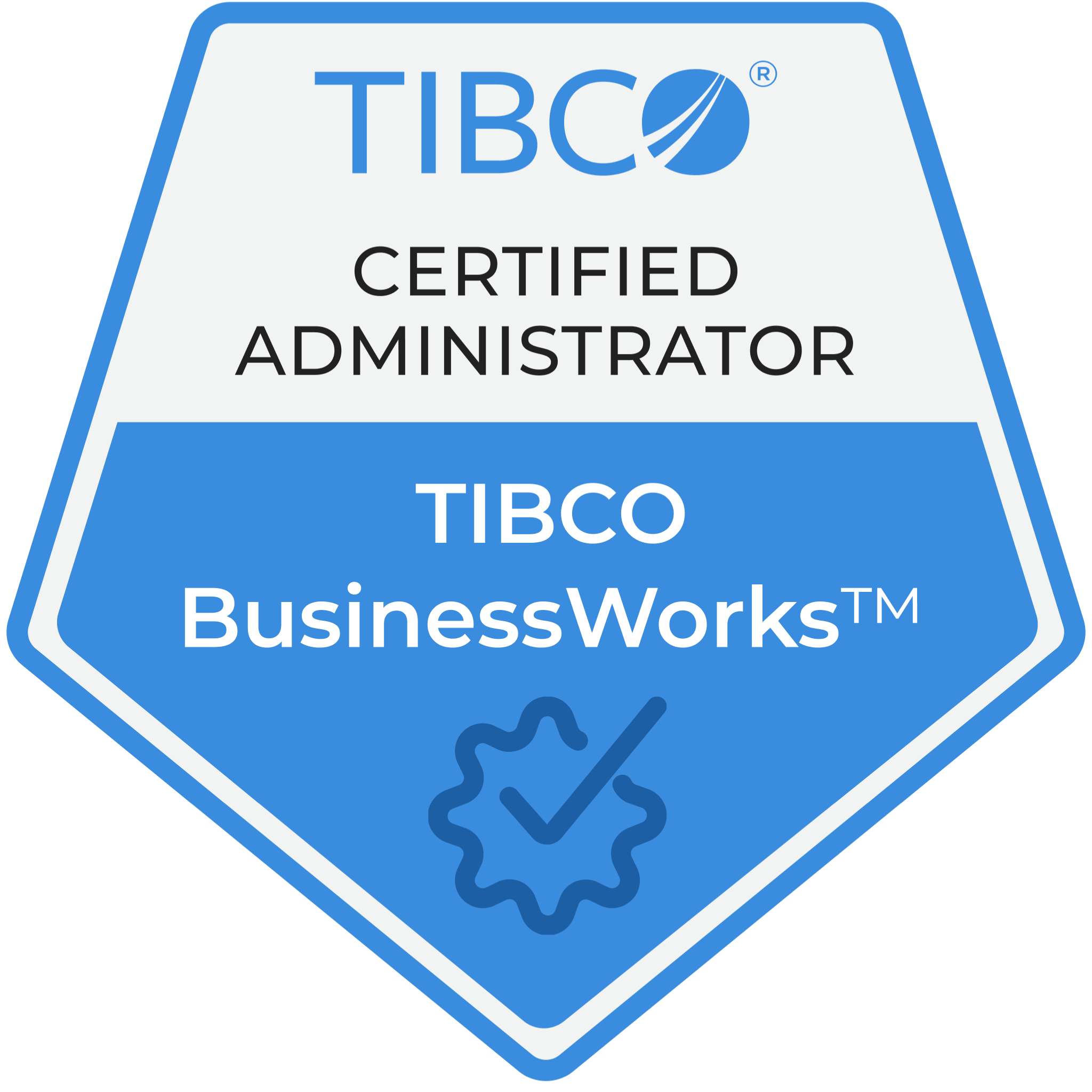 TCAM - TIBCO BusinessWorks™
