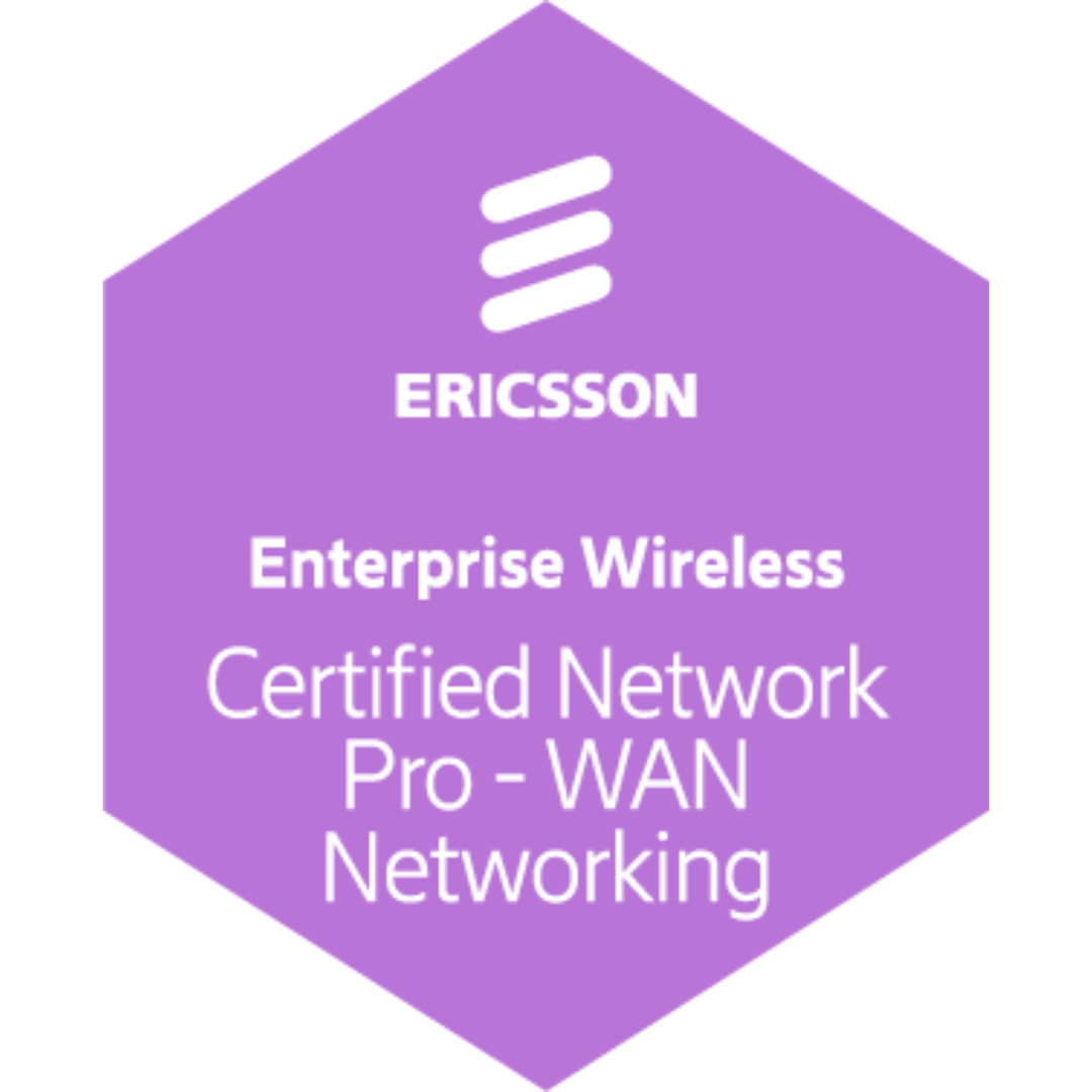 Certified Network Professional - WAN Networking