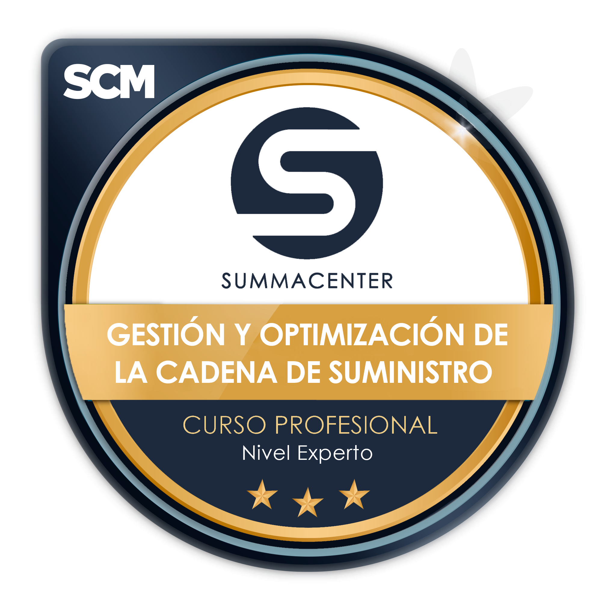 Gestión y Optimización de la Cadena de Suministro (Curso Profesional