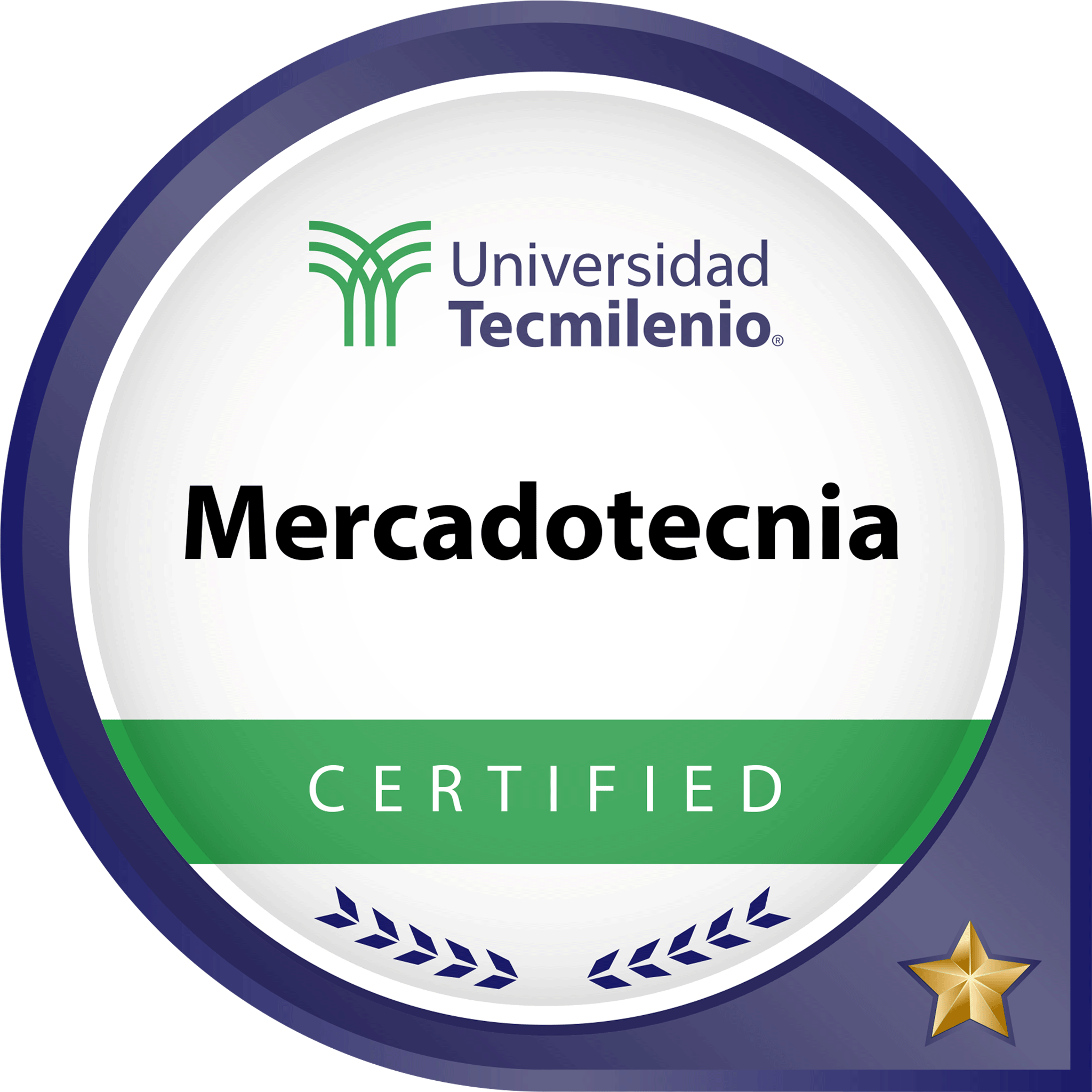 Mercadotecnia Digital M