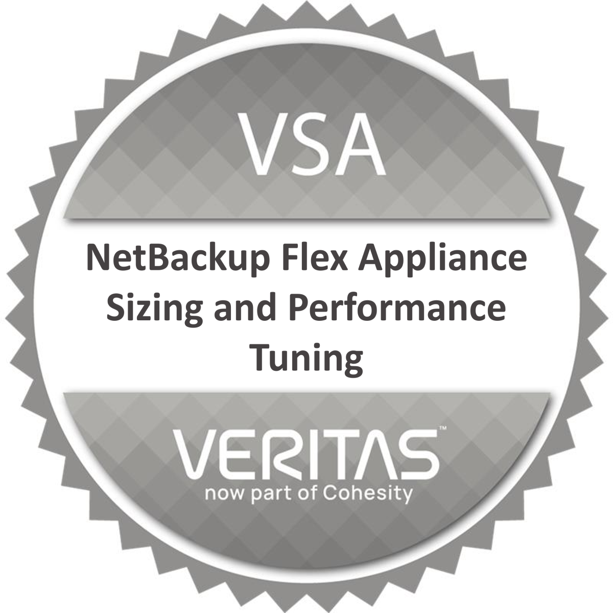 VSA NetBackup Flex Appliance Sizing and Performance Tuning