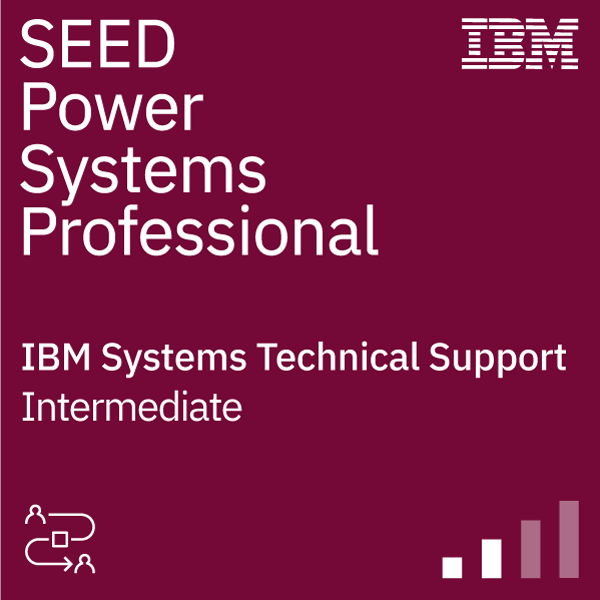 SEED Technical Support Professional - Power Systems