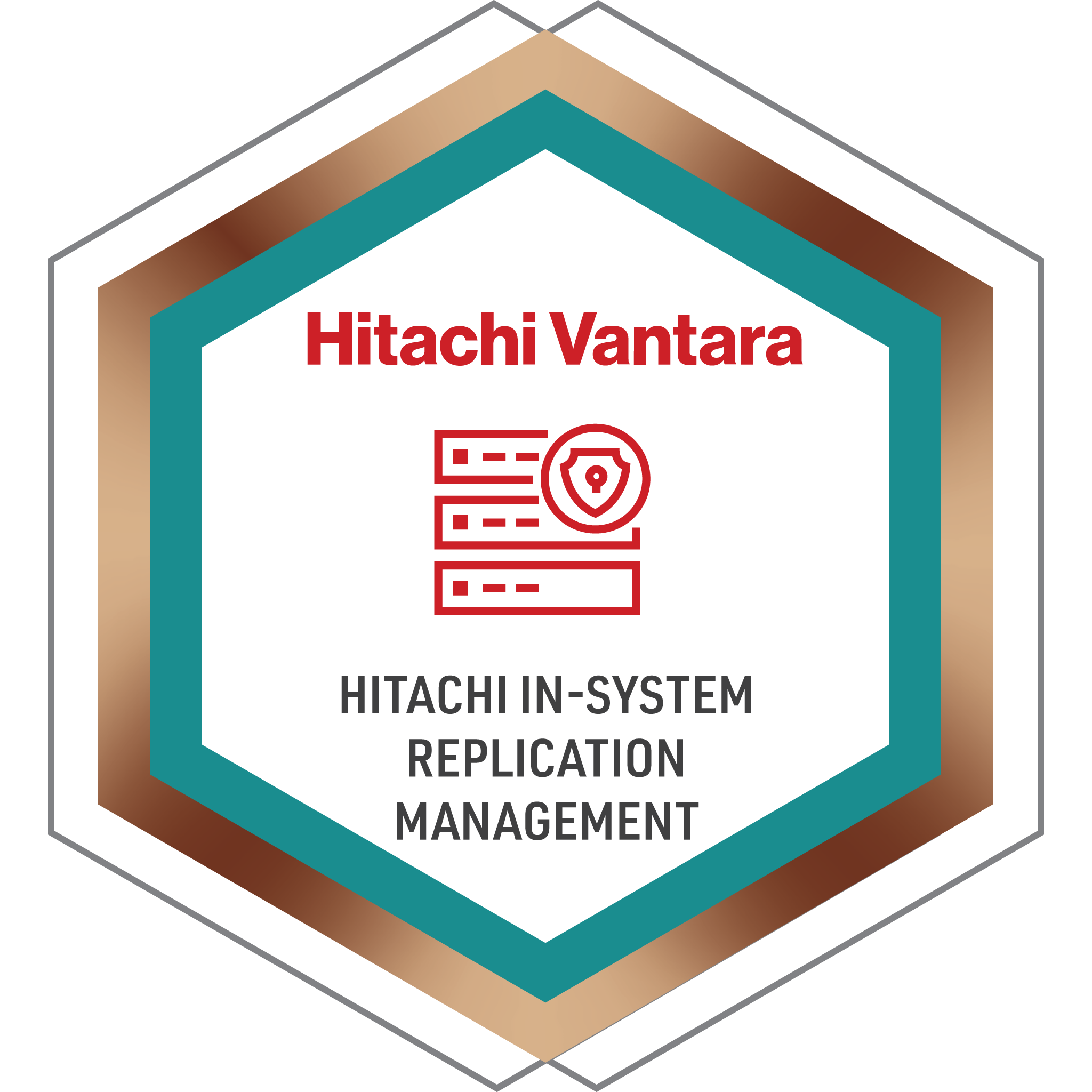Hitachi In-System Replication Management