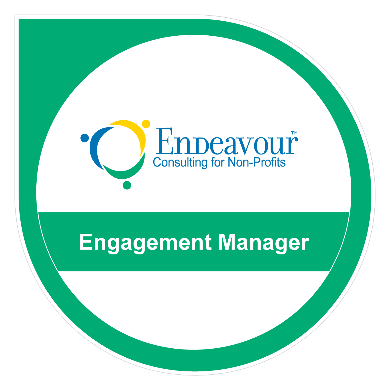 Engagement Manager