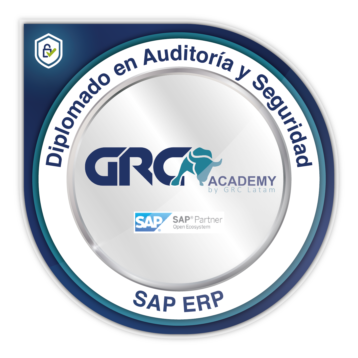 Diplomado en Auditoría y Seguridad SAP ERP