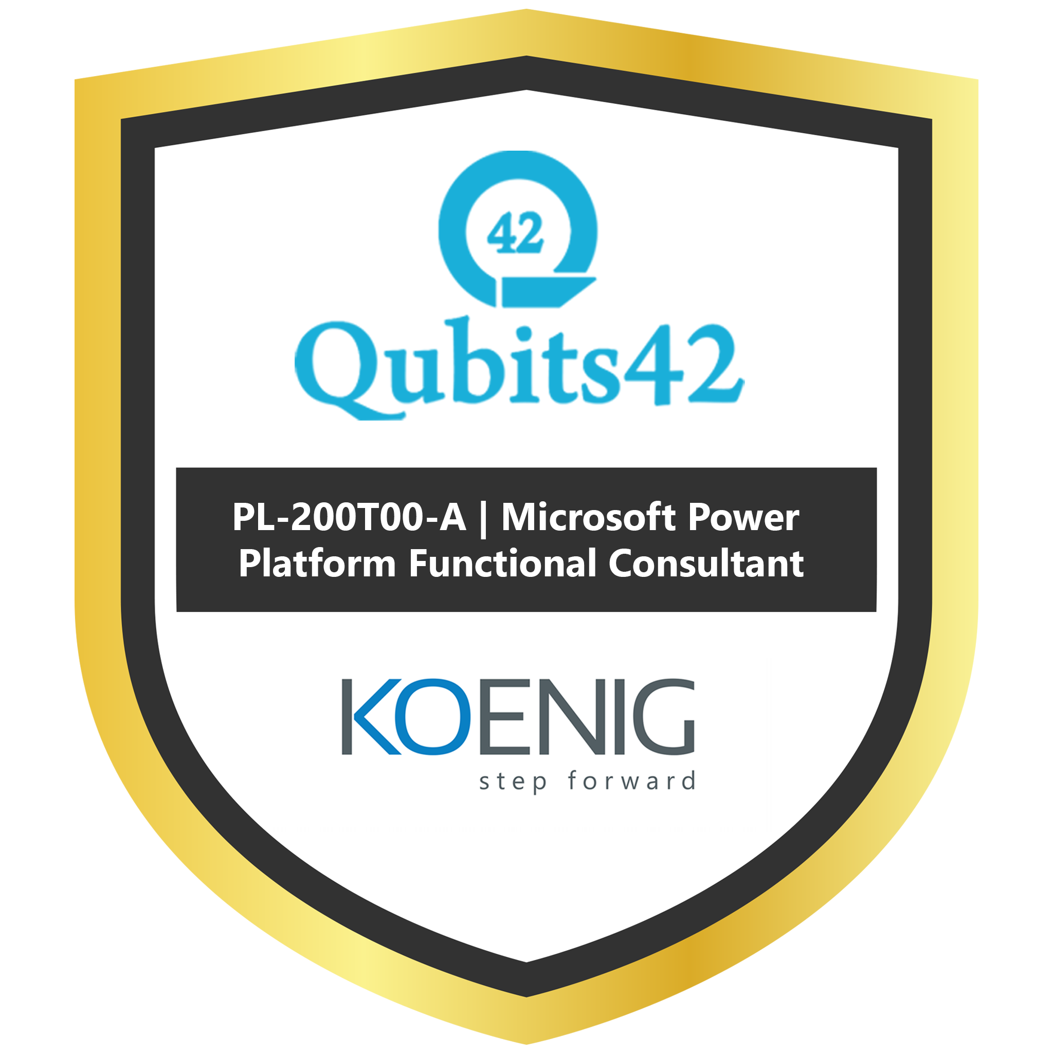 PL-200T00-A | Microsoft Power Platform Functional Consultant