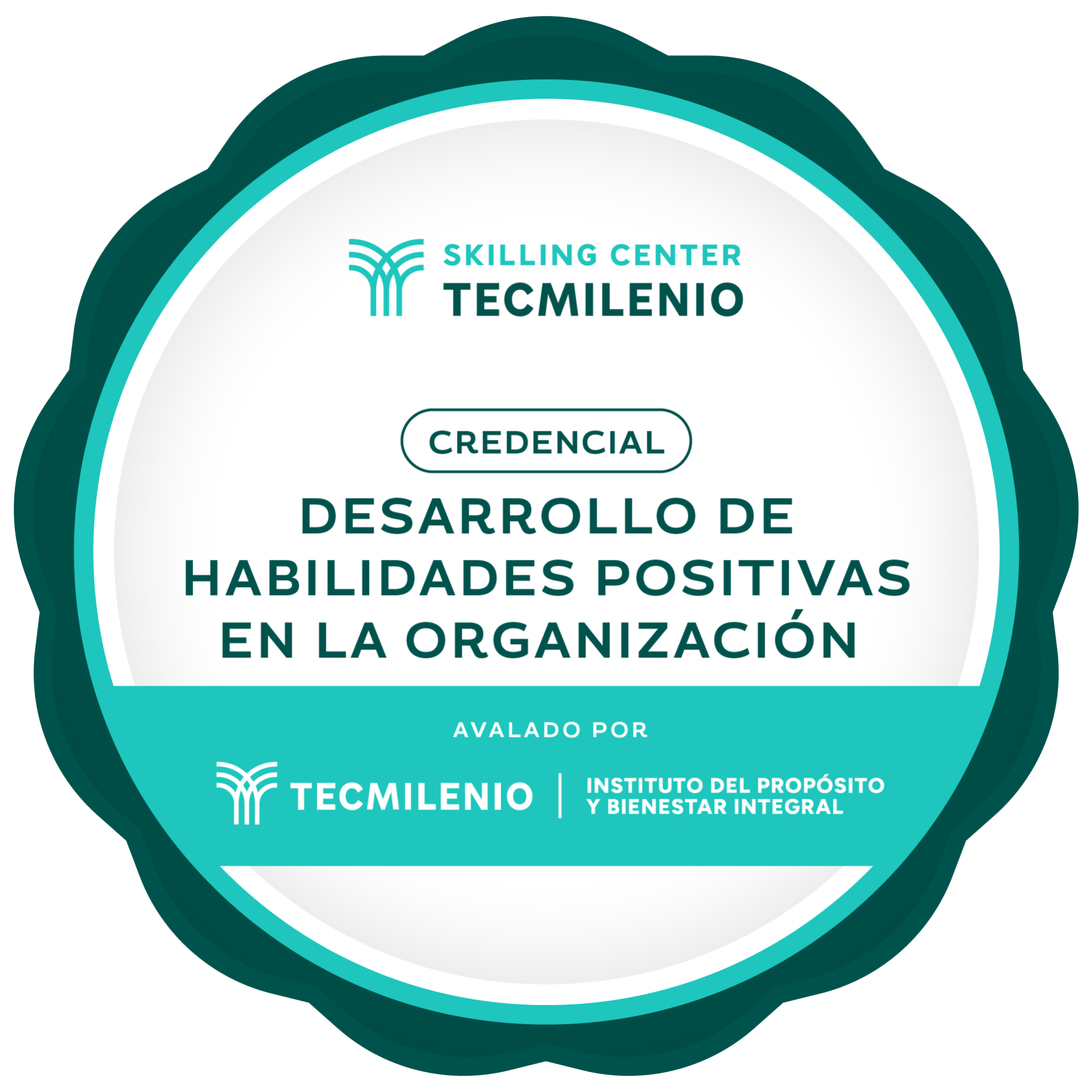 Credencial Desarrollo de habilidades positivas en la organización