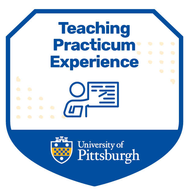 Teaching Practicum Experience