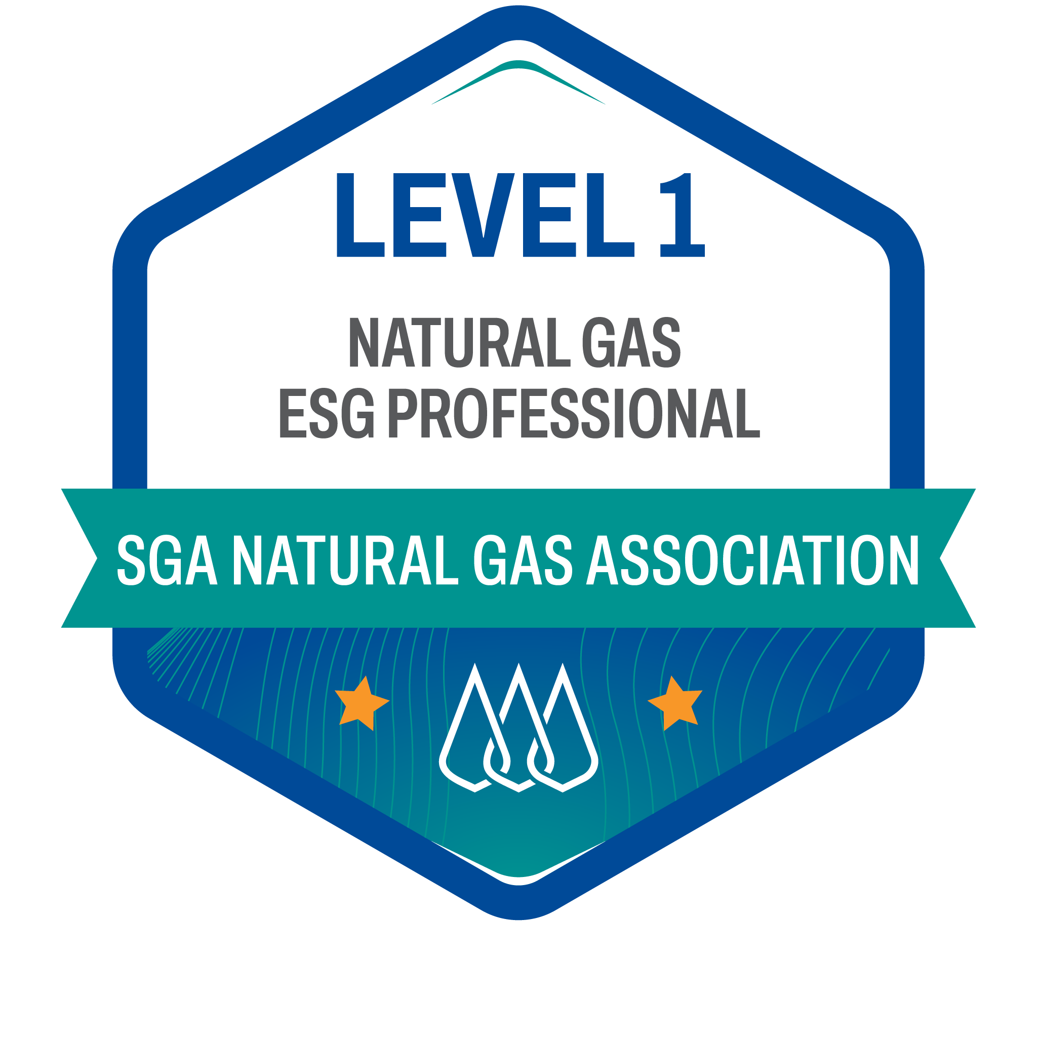 Level 1 Natural Gas Industry ESG Professional