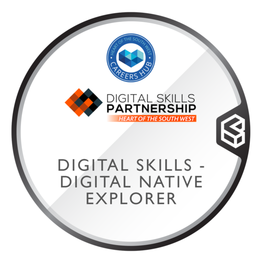 Digital Skills Partnership Project Participant - Digital Native ...