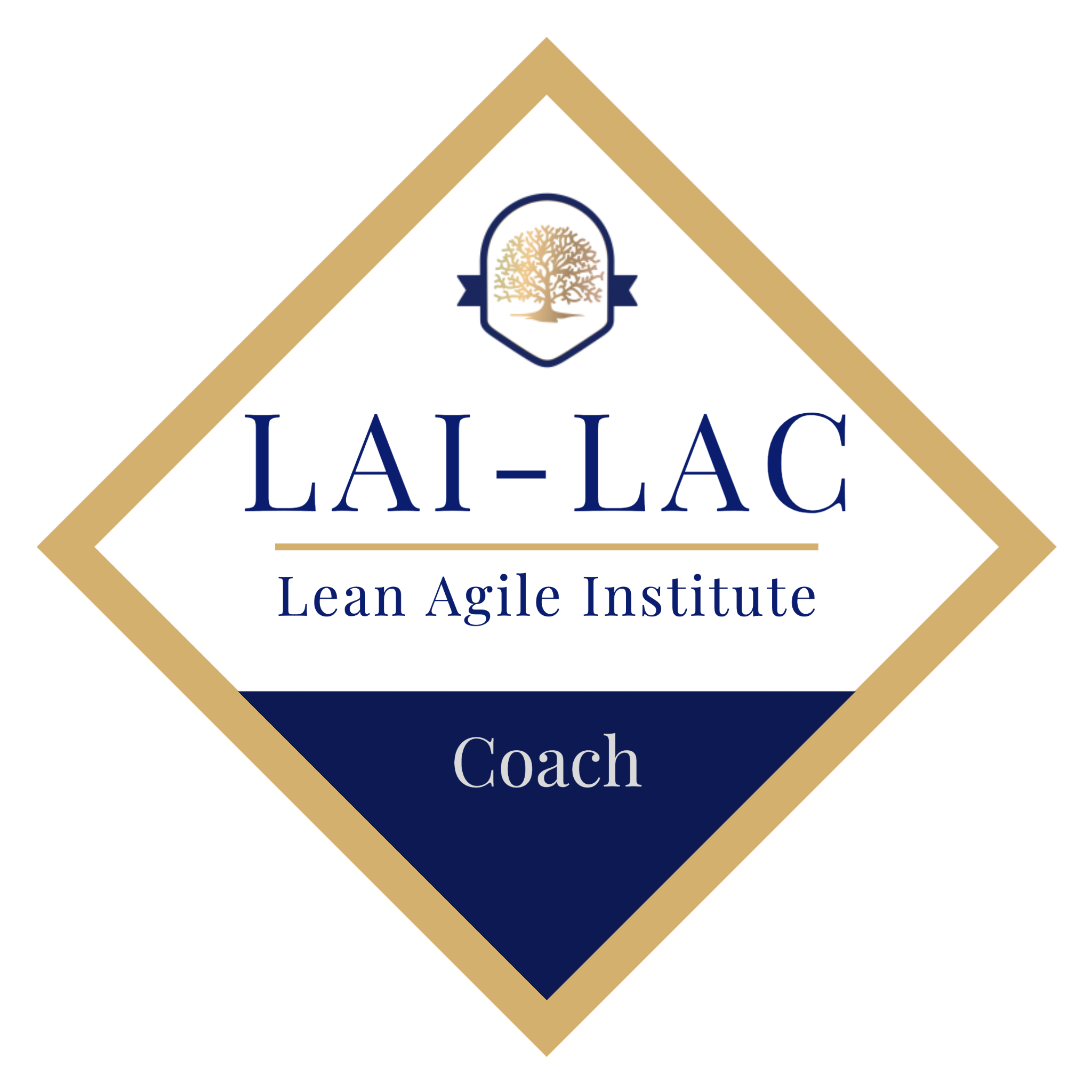 Certified Lean Agile Coach