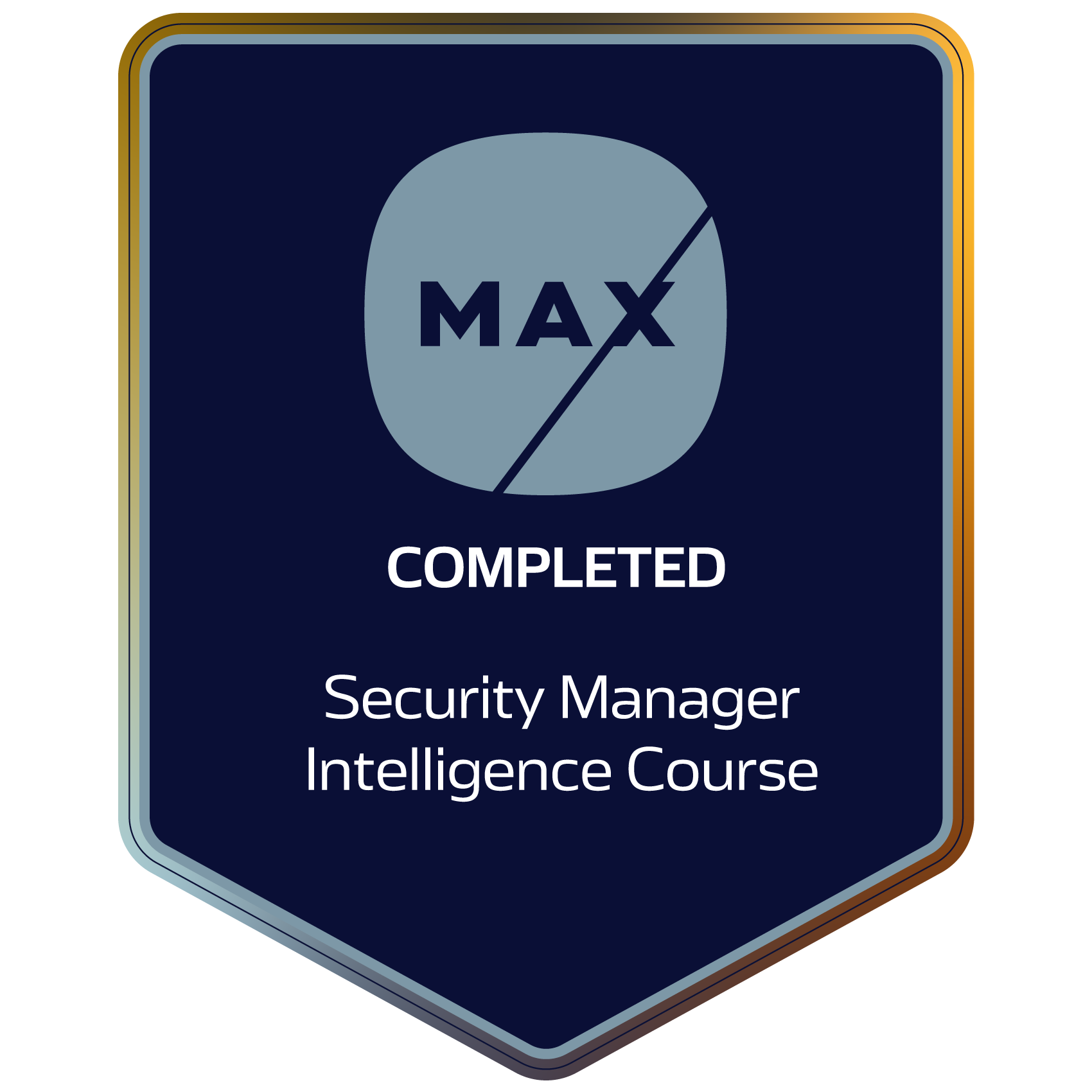 MAX Security Manager Intelligence Training