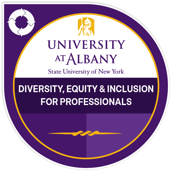 Fundamentals of Diversity, Equity, Inclusion & Sense of Belonging (DEIS) for Professionals