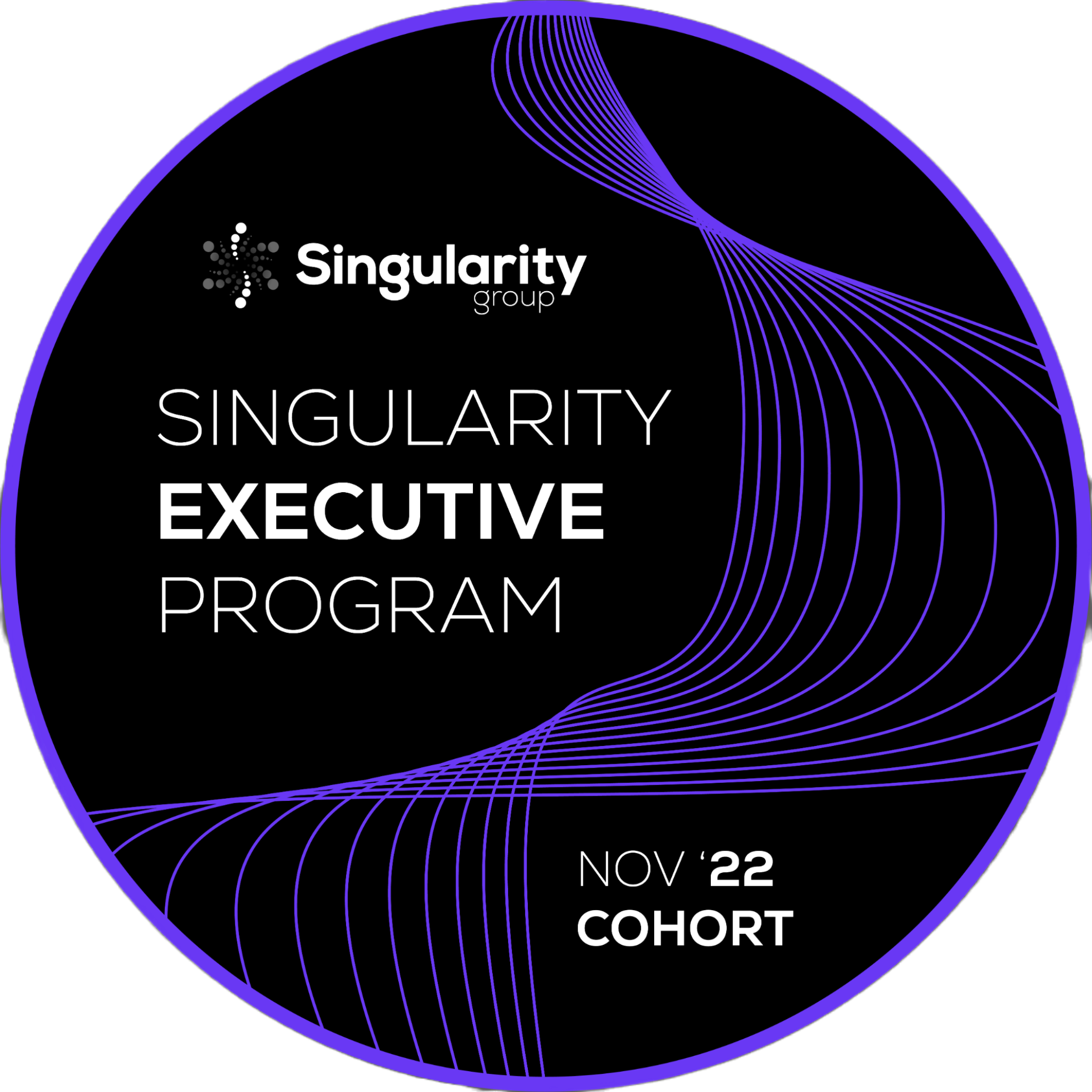 Singularity Executive Program - November 2022