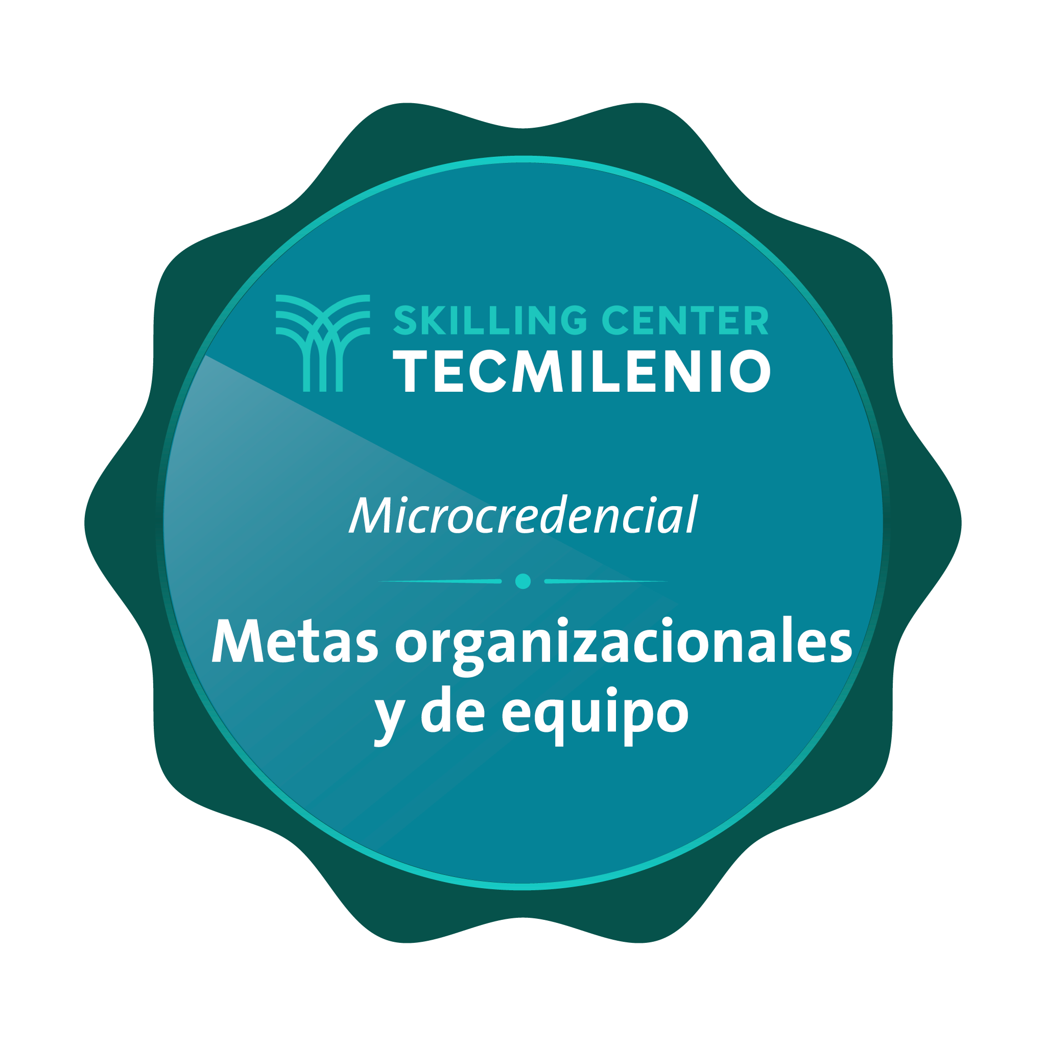 Microcredencial Metas organizacionales y de equipo