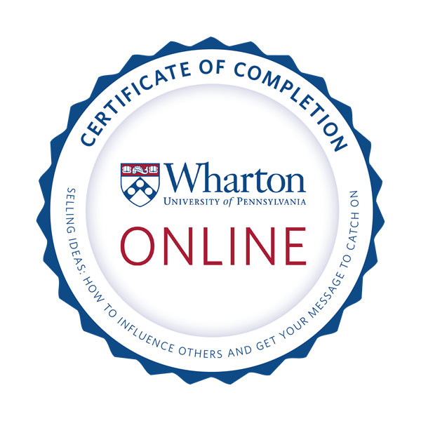 Selling Ideas: How to Influence Others and Get Your Message to Catch On