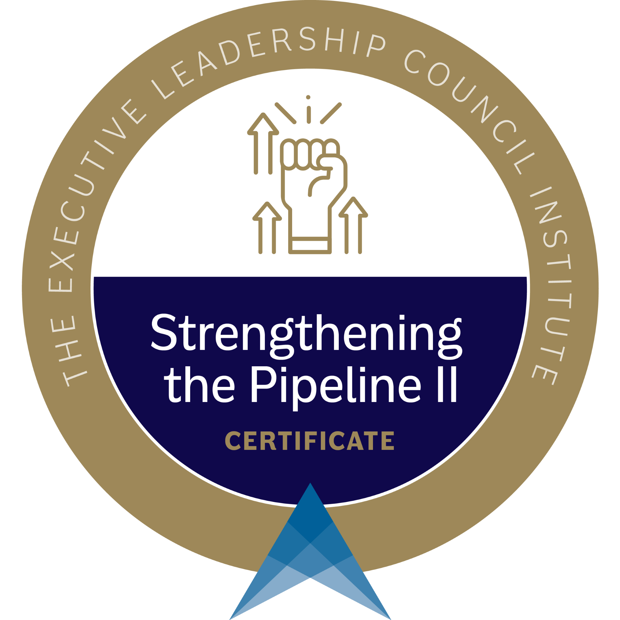 Strengthening the Pipeline II Certificate