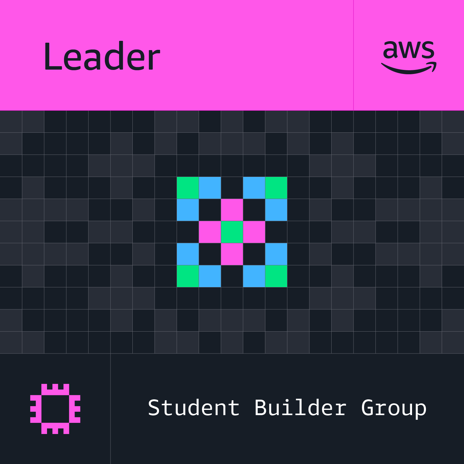 AWS SBG Leader Badge