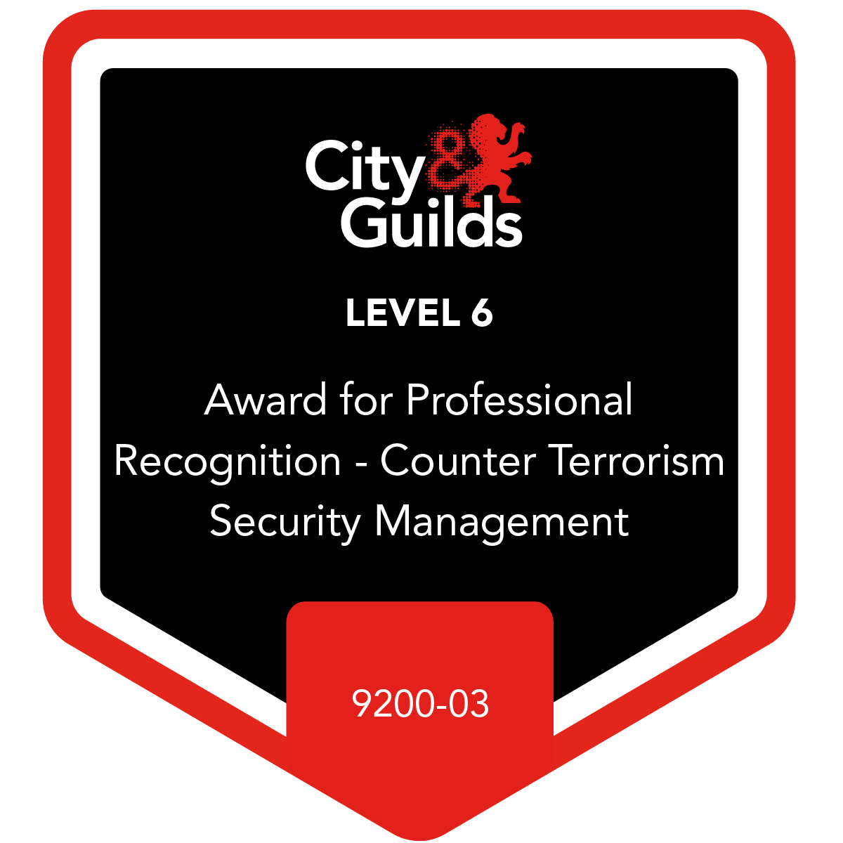 Level 6 Award for Professional Recognition - Counter Terrorism Security Management - 9200-03