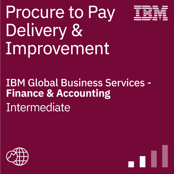 Finance & Accounting - Procure to Pay Delivery and Improvement