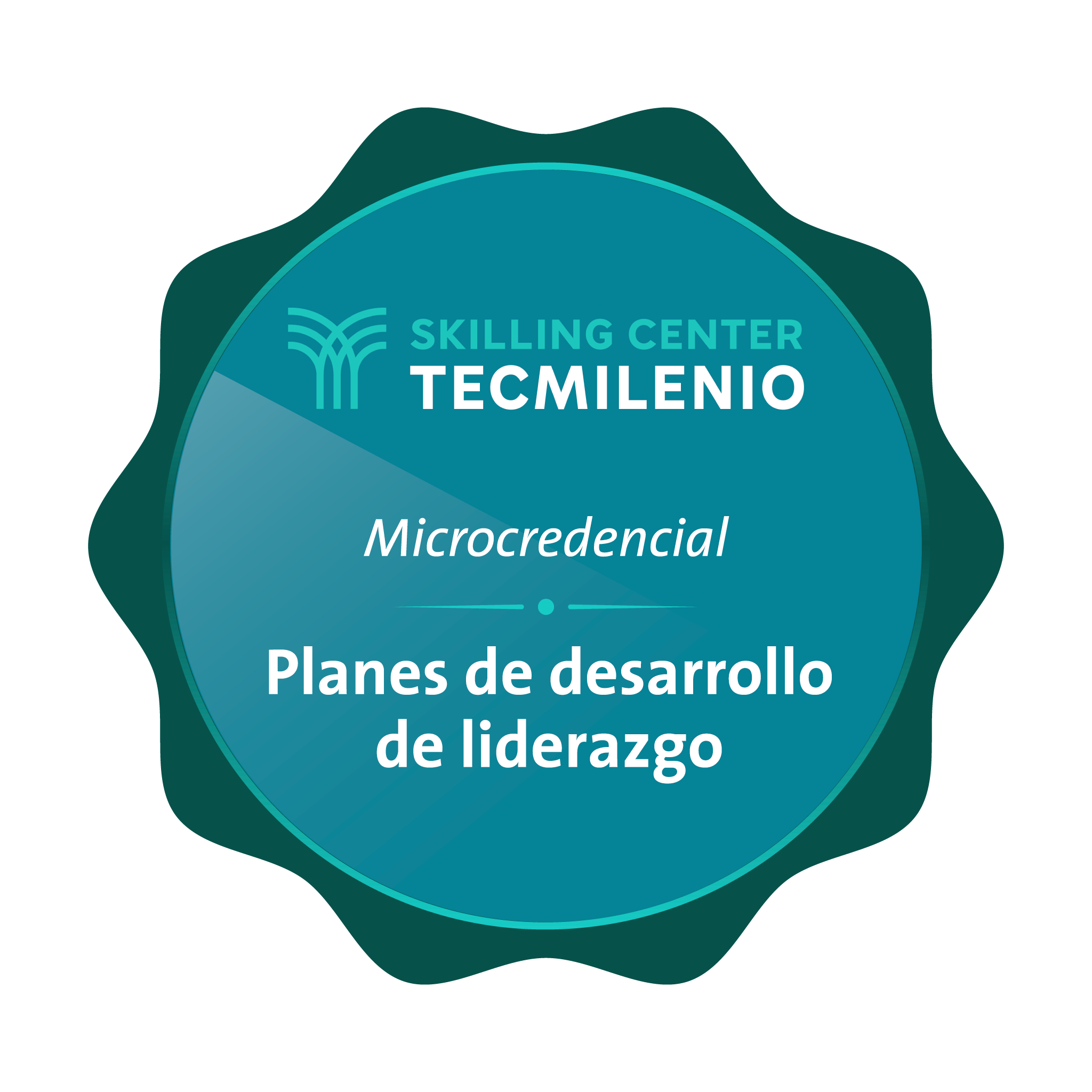 Microcredencial Planes de desarrollo de liderazgo