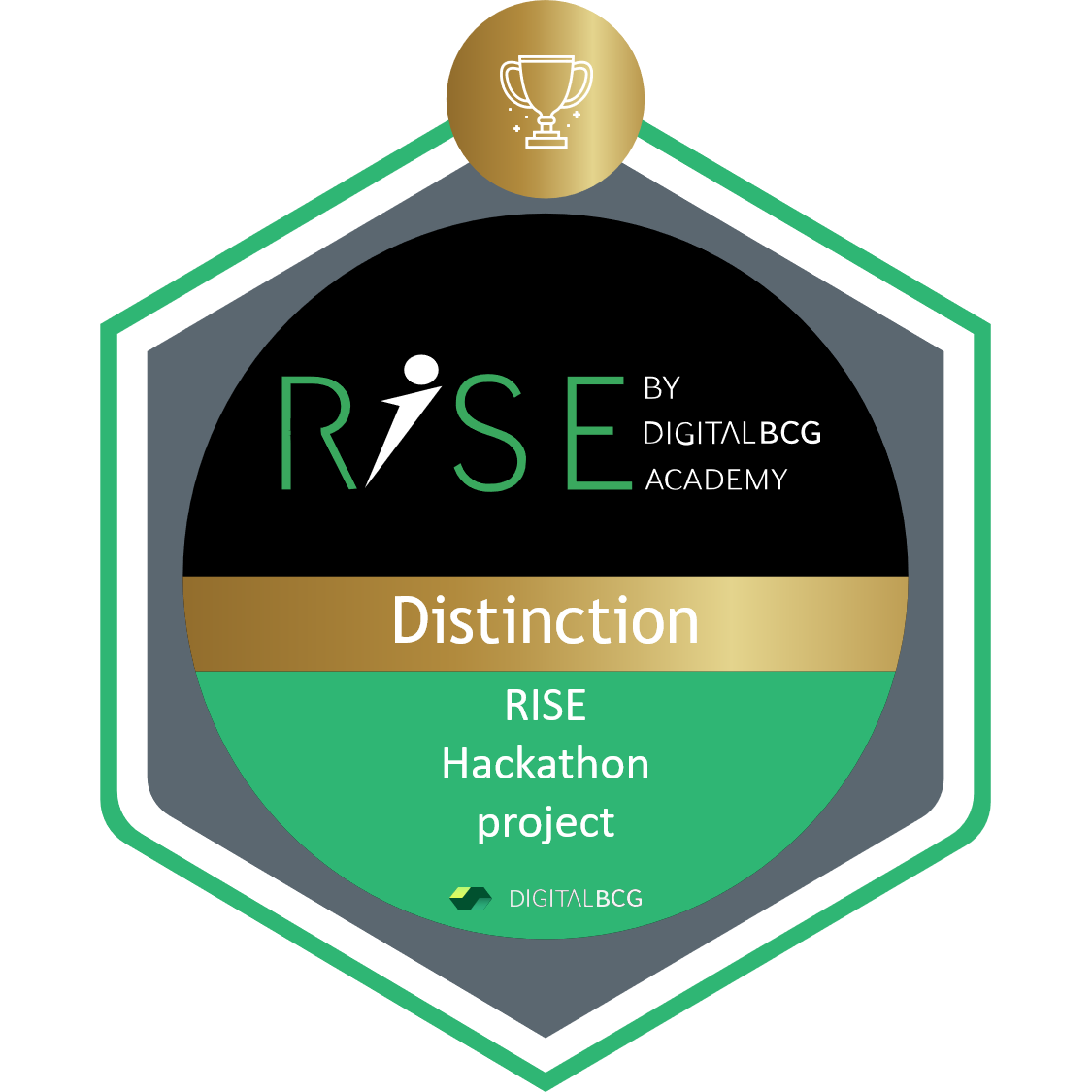 BCG RISE Distinction Hackathon Project Credly