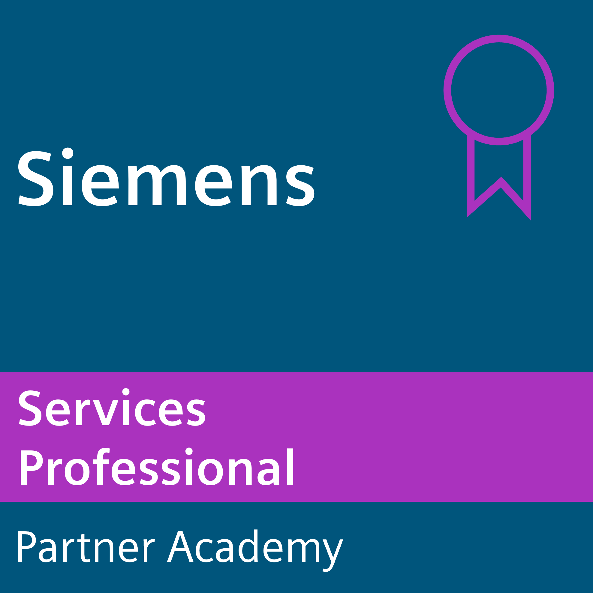2024 Services Professional Certificate