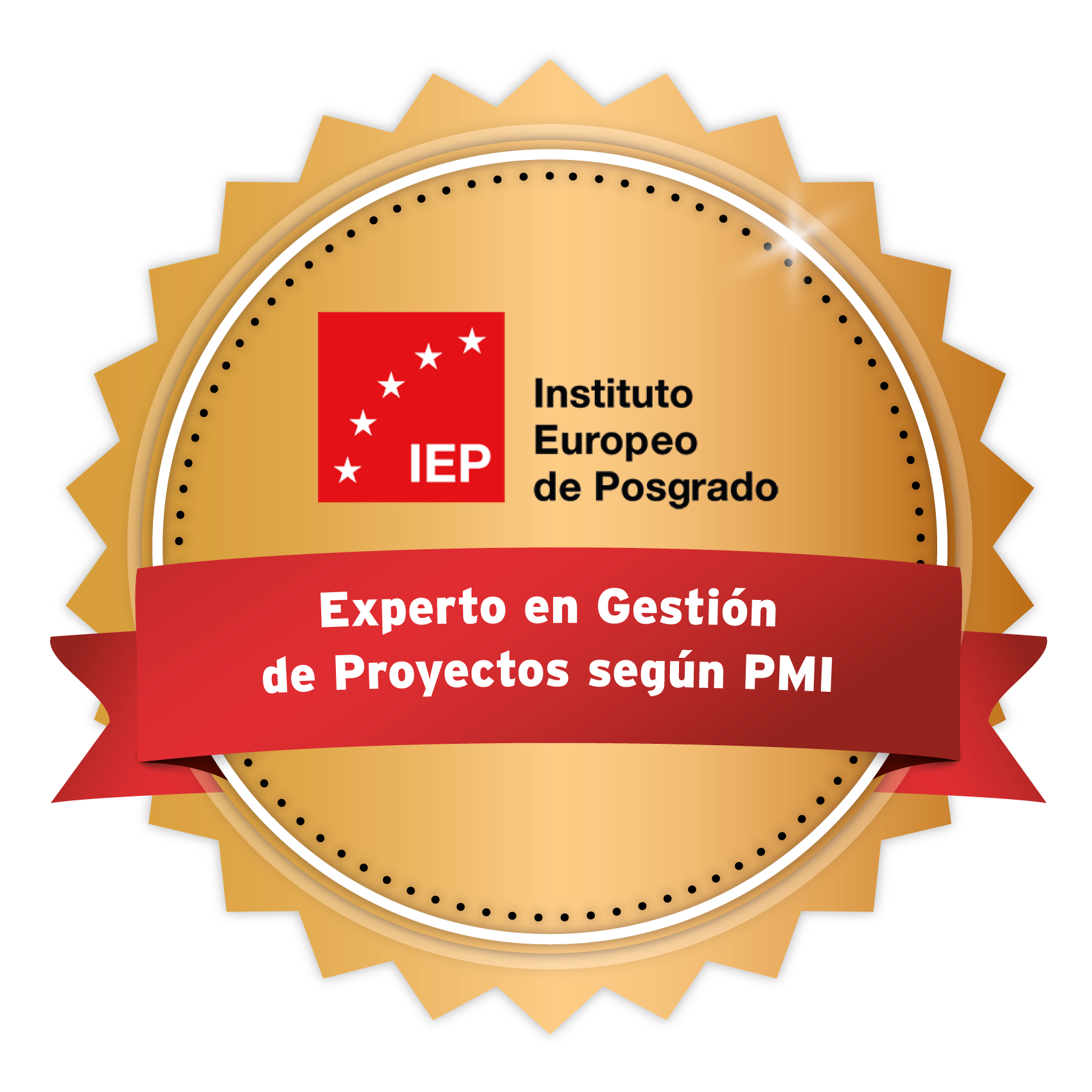 Experto en Gestión de Proyectos según PMI