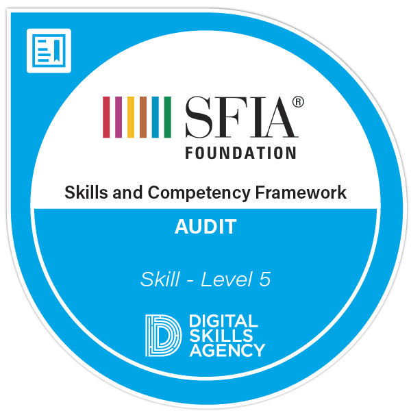 Audit Skill Level 5 Credly