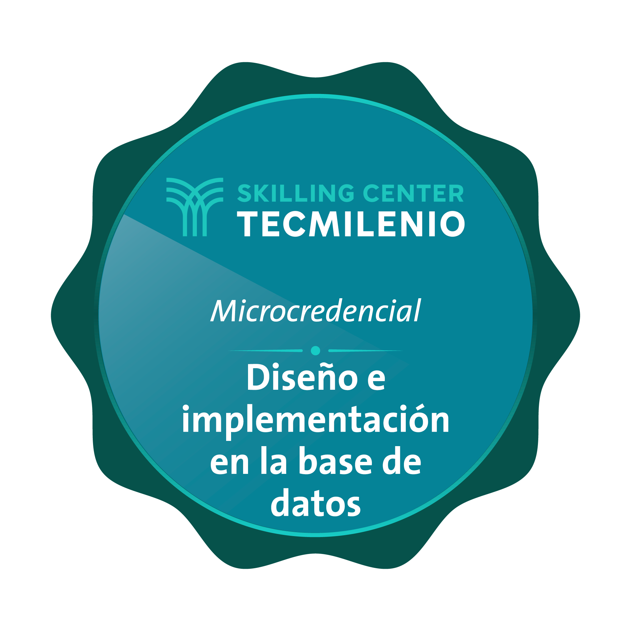 Microcredencial Diseño e implementación en la base de datos