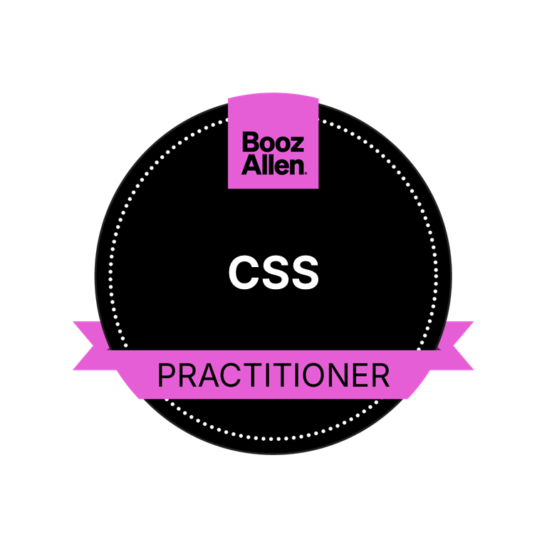 CSS Practitioner