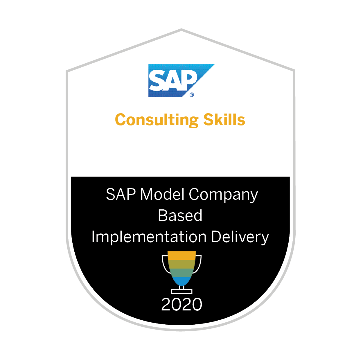 SAP Consulting Skills 2020 SAP Model Company Based Implementation