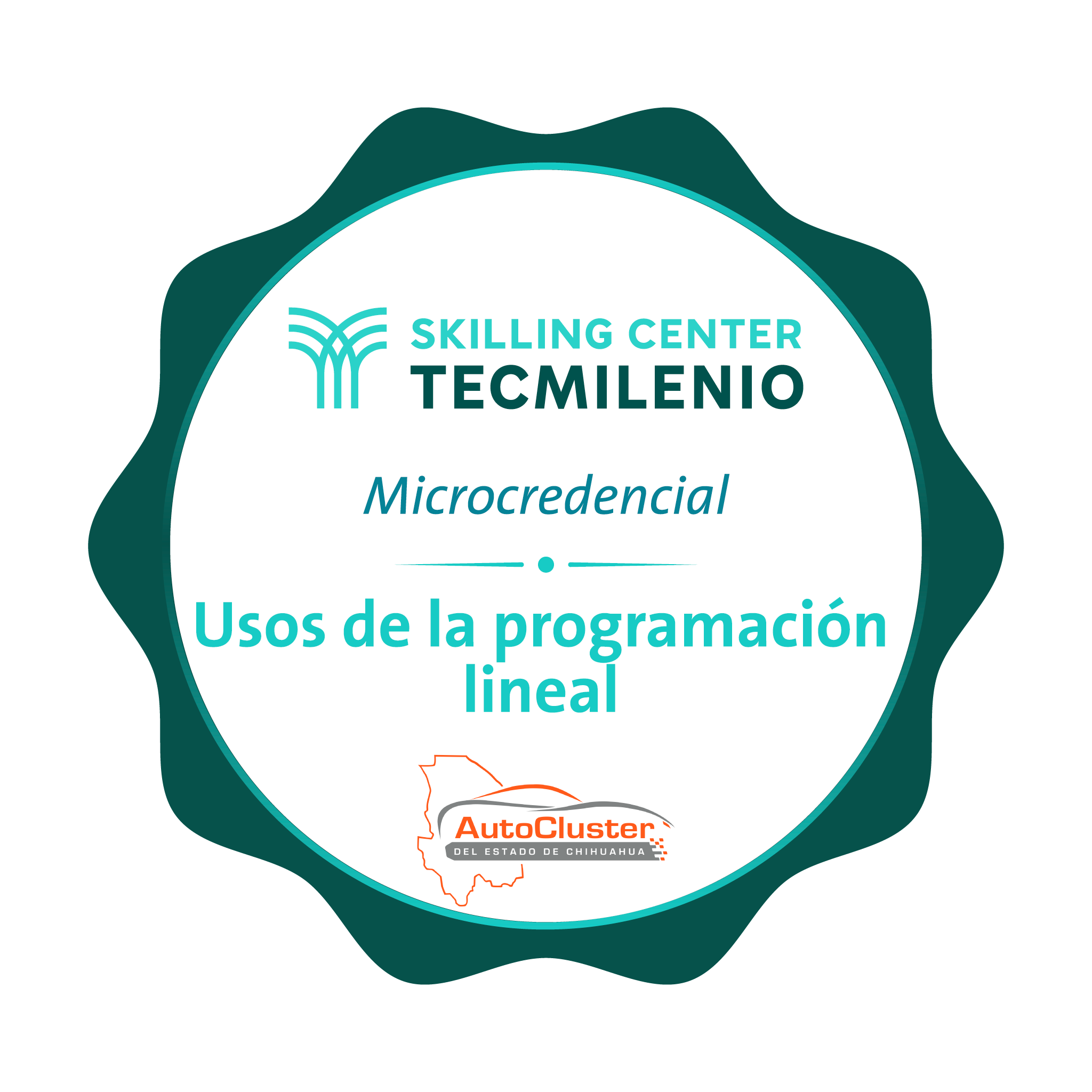 -Microcredencial Usos de la programación lineal