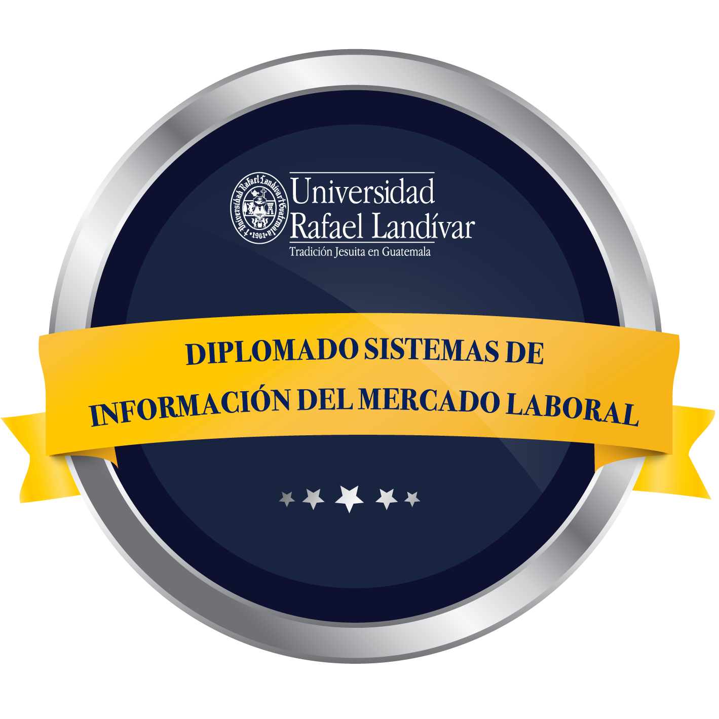 Diplomado Sistemas de información del mercado laboral