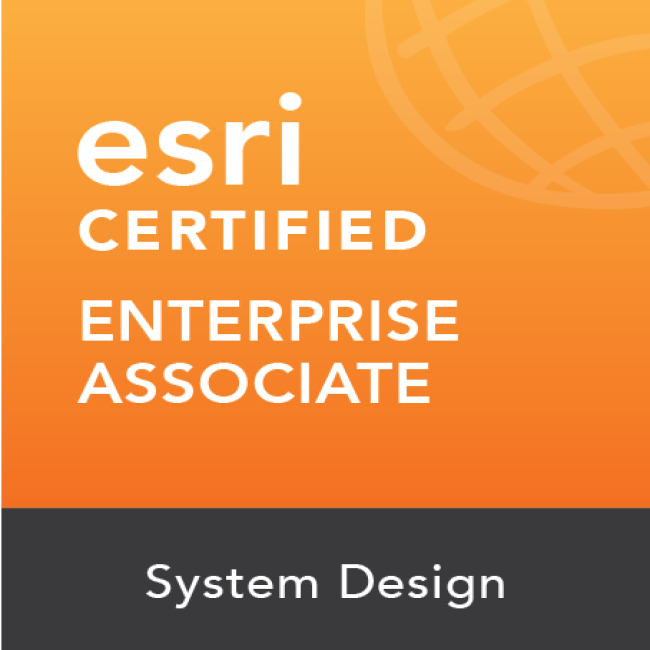 Enterprise System Design Associate 10.0