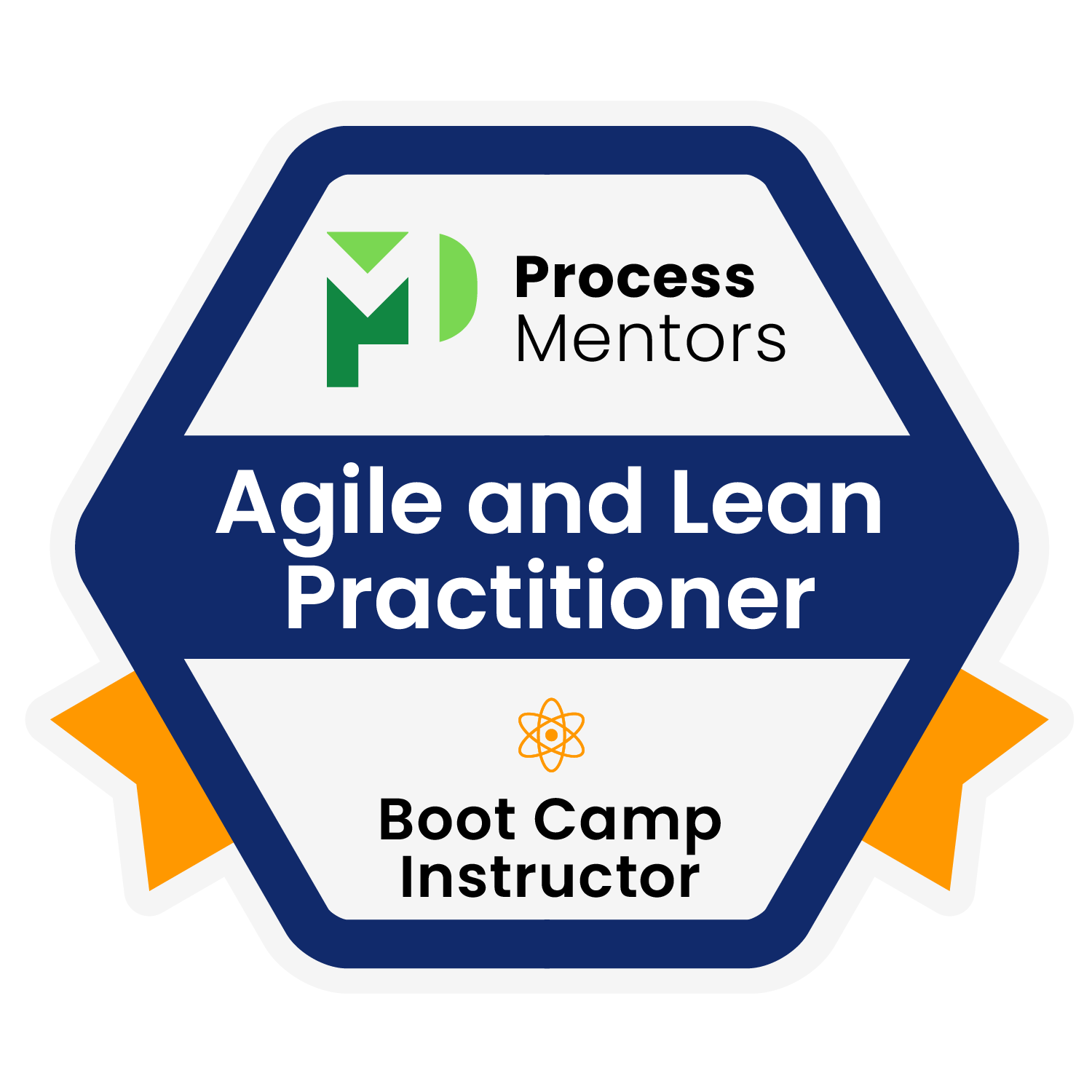 Agile and Lean Practitioner Boot Camp Instructor