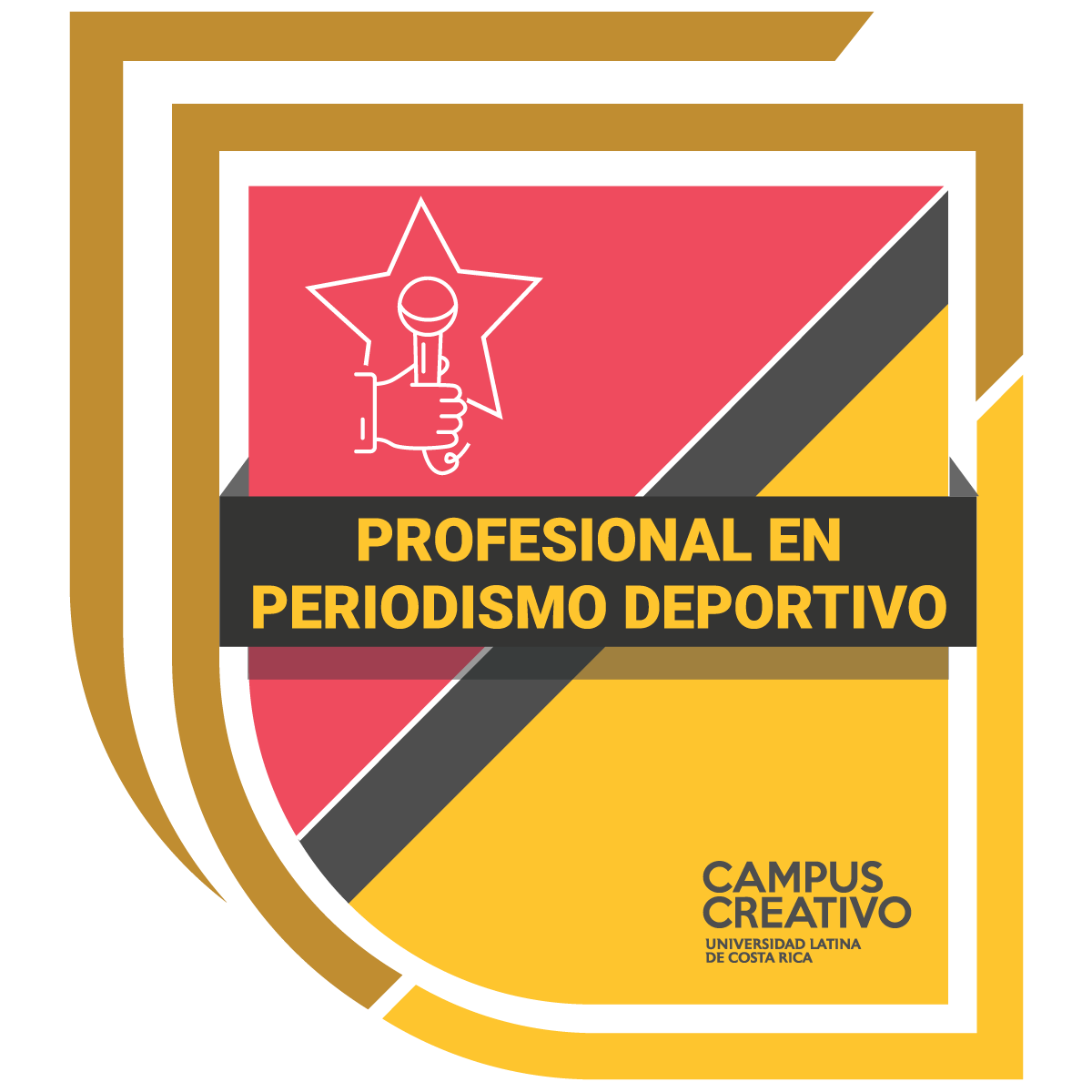 Profesional en Periodismo Deportivo